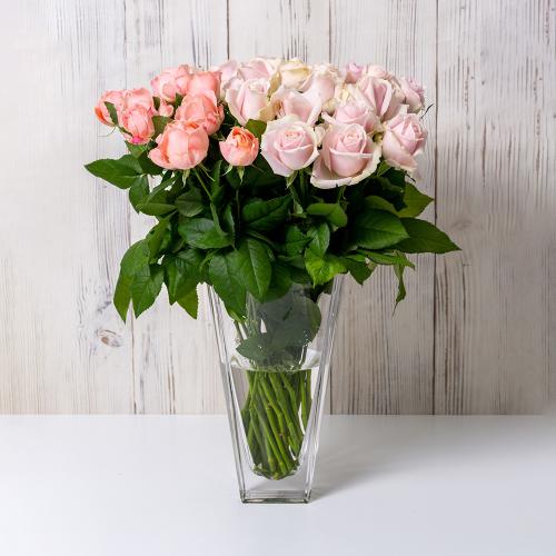 �z�V�t�@�[���@�o���u�[�P�@�X�C�[�g�@30�{3