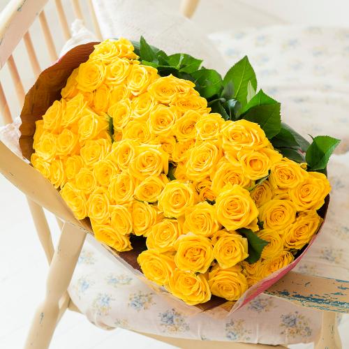 �Y�n�����o���ԑ��i70�{�j�C�G���[�n