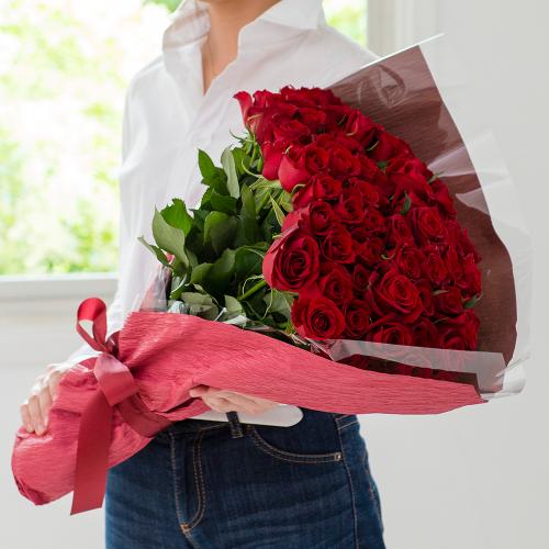 �Y�n�����o���ԑ��i70�{�j�C�G���[�n2