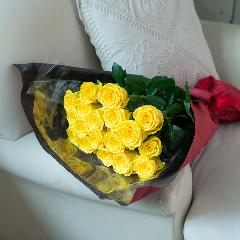 �Y�n�����o���ԑ��i18�{�j�C�G���[�n