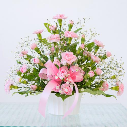 �J�[�l�[�V���� �g�D�C���N��(�s���N)