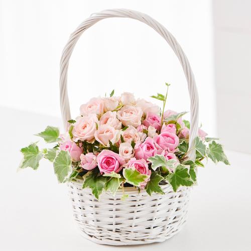 �s���N�̃o���̃z���C�g�o�X�P�b�g�A�����W�����g