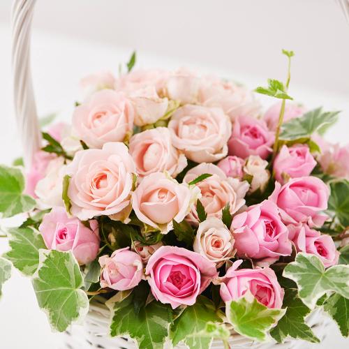 �s���N�̃o���̃z���C�g�o�X�P�b�g�A�����W�����g2