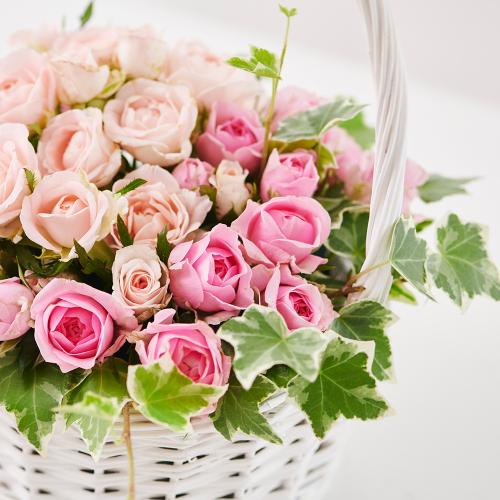 �s���N�̃o���̃z���C�g�o�X�P�b�g�A�����W�����g3