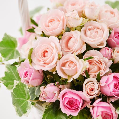 �s���N�̃o���̃z���C�g�o�X�P�b�g�A�����W�����g5