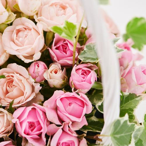 �s���N�̃o���̃z���C�g�o�X�P�b�g�A�����W�����g6