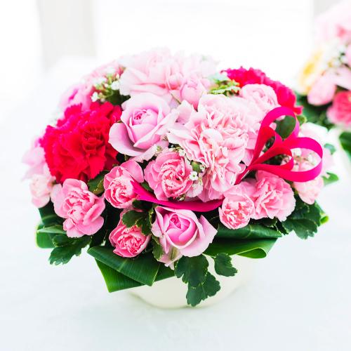 �n�[�g�t���A�����W�����g�u�J�[�l�[�V�����{�E���v