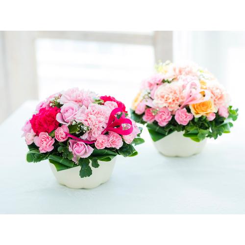 �n�[�g�t���A�����W�����g�u�J�[�l�[�V�����{�E���v5