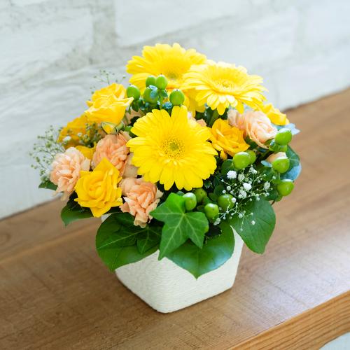 �o���ƃK�[�x���̃��u���[�A�����W�����g