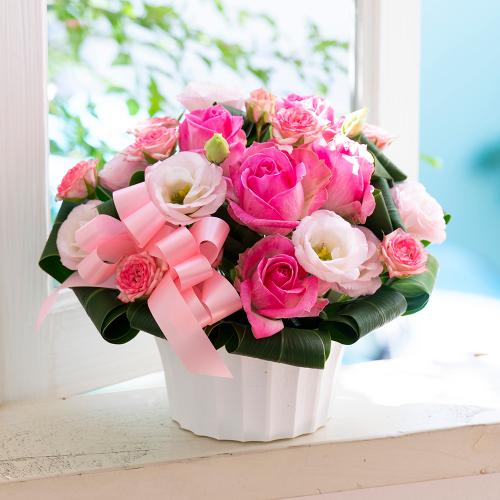���[�Y�A�����W�����g�u�s���N�v