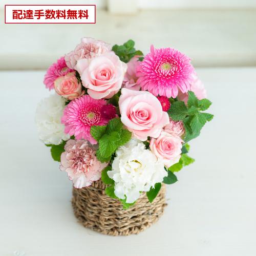 �v���ɂ��܂��� �A�����W�����g�u�s���N�n�v5,500�~