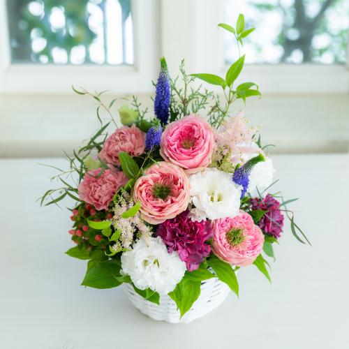 �v���ɂ��܂��� �A�����W�����g�u�s���N�n�v5,500�~2