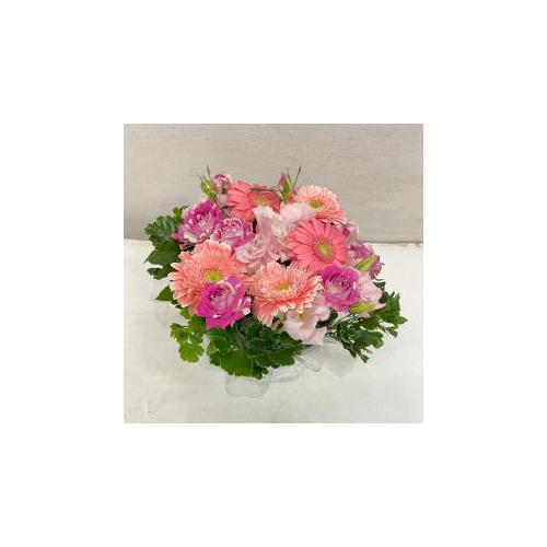 �v���ɂ��܂��� �A�����W�����g�u�s���N�n�v5,500�~4
