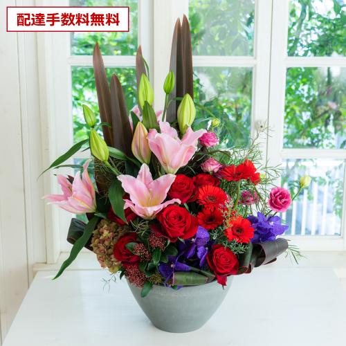 �v���ɂ��܂������؃A�����W�����g�u�Ԍn�v11,000�~