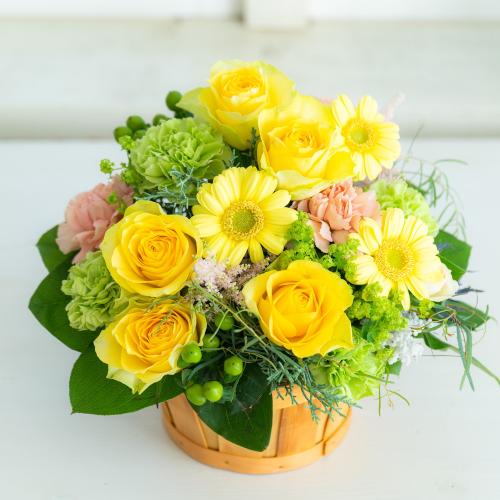 �v���ɂ��܂��� �A�����W�����g�u���F�E�I�����W�n�v5,500�~
