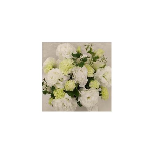 �y������݁E�������z�v���ɂ��܂��� �A�����W�����g�u���オ��v3,850�~4