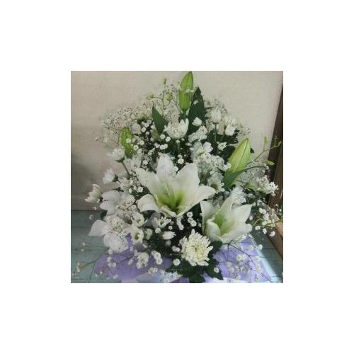 �y������݁E�������z�v���ɂ��܂��� �A�����W�����g�u���オ��v5,500�~6