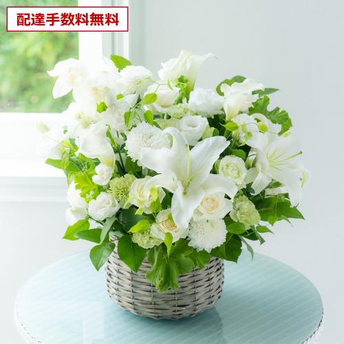�y������݁E�������z�v���ɂ��܂������؃A�����W�����g���オ��13,200�~