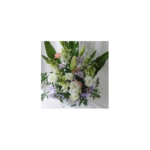 �y������݁E�������z�v���ɂ��܂��� �A�����W�����g �W���F���� 8,800�~4