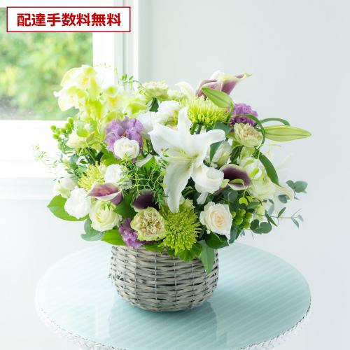 �y������݁E�������z�v���ɂ��܂������؃A�����W �W���F���� 13,200�~