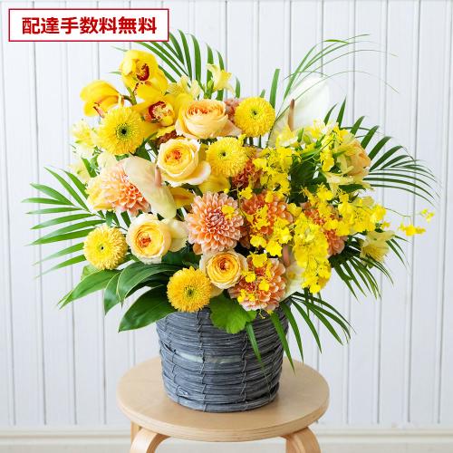 �y���j���ԁz�v���ɂ��܂��� ���؃A�����W�����g�u���F�E�I�����W�n�v