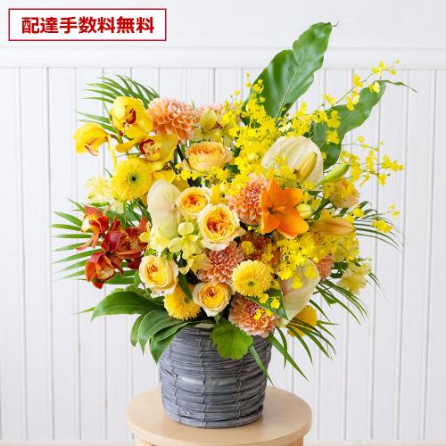 �y���j���ԁz�v���ɂ��܂��� ���؃A�����W�����g�u���F�E�I�����W�n�v