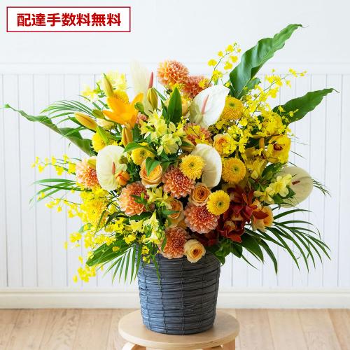 �y���j���ԁz �v���ɂ��܂��� ���؃A�����W�����g�u���F�E�I�����W�n�v