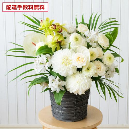 �y������݁E�������z�v���ɂ��܂������؃A�����W�����g�u���オ��v