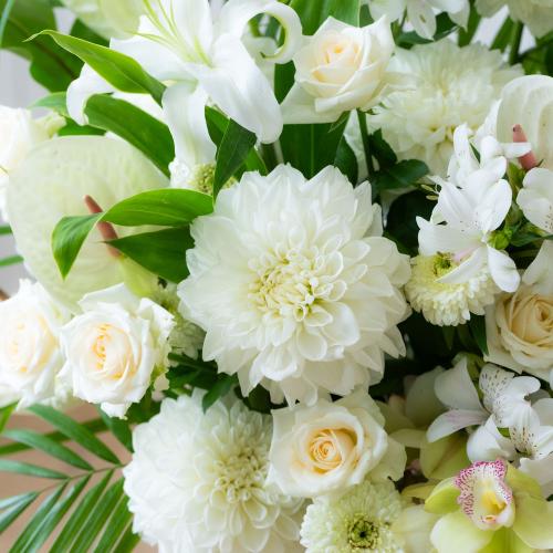 �y������݁E�������z�v���ɂ��܂������؃A�����W�����g�u���オ��v5
