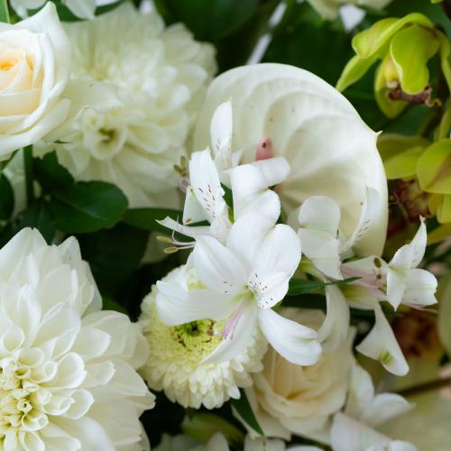 �y������݁E�������z�v���ɂ��܂������؃A�����W�����g�u���オ��v6