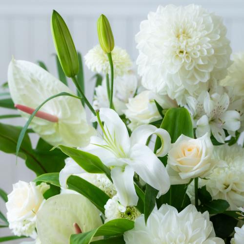 �y������݁E�������z�v���ɂ��܂��� ���؃A�����W�����g�u���オ��v7