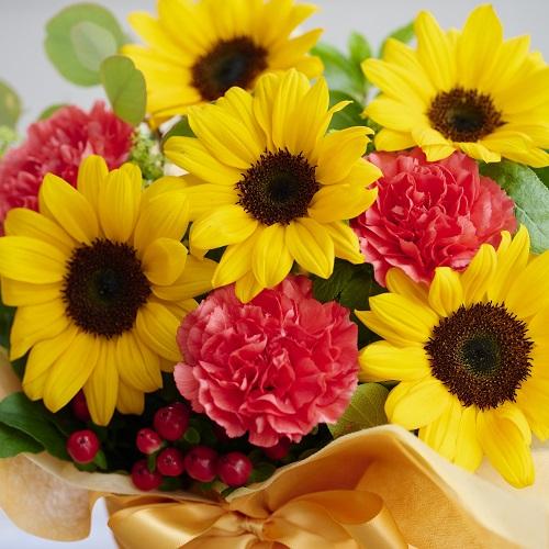 �Ђ܂��̃T���N�X�A�����W