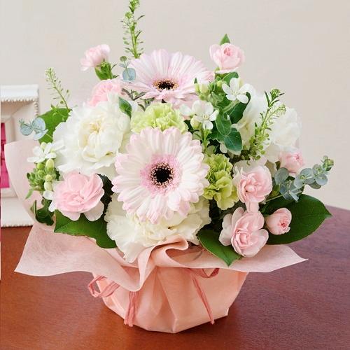 �v���ɂ��܂��� �A�����W�����g�u�s���N���z���C�g�v4,400�~