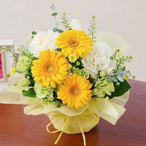 �v���ɂ��܂��� �A�����W�����g�u�C�G���[���z���C�g�v4,400�~