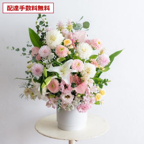  �v���ɂ��܂��� ���؃A�����W�����g�u�W���F����v