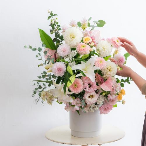  �v���ɂ��܂��� ���؃A�����W�����g�u�W���F����v2