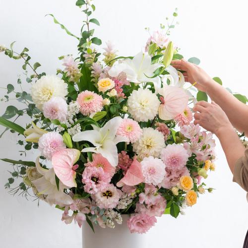  �v���ɂ��܂��� ���؃A�����W�����g�u�W���F����v2