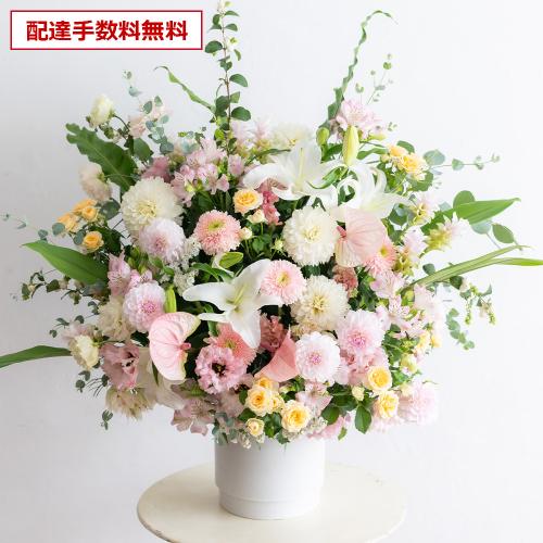 �v���ɂ��܂��� ���؃A�����W�����g�u�W���F����v