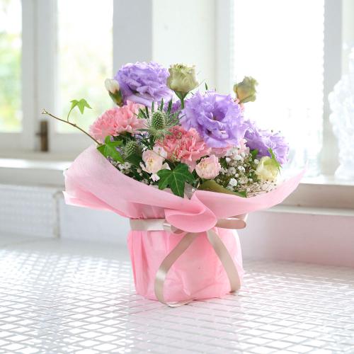 �g���R�M�L���E���ꂽ�s���N�E�p�[�v���n���܂����A�����W2