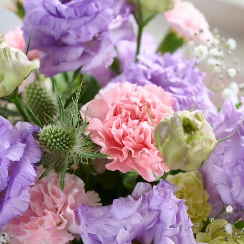 �g���R�M�L���E���ꂽ�s���N�E�p�[�v���n���܂����A�����W4