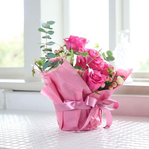 �s���N�o������ꂽ�s���N�n���܂����A�����W4