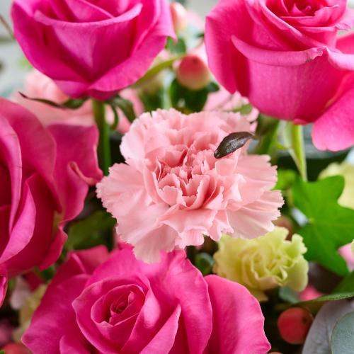 �s���N�o������ꂽ�s���N�n���܂����A�����W7