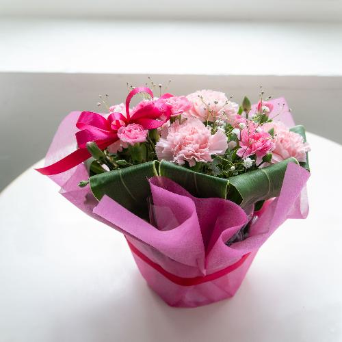 �T���N�X�A�����W2026�u���肪�Ƃ��̋C�����v�y�[���s���N3