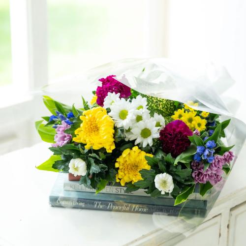 �y�������z�v���ɂ��܂����u�e����ԑ��F�~�b�N�X�v