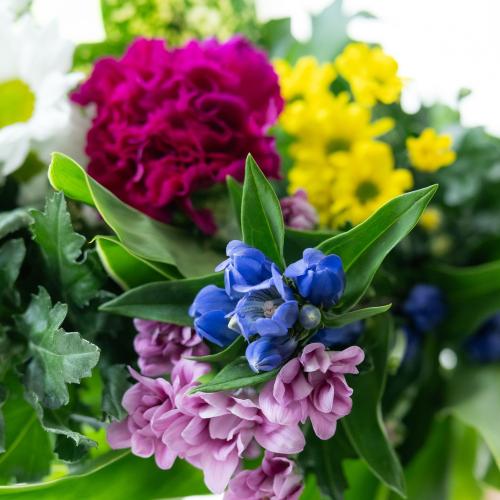�y�������z�v���ɂ��܂����u�e����ԑ��F�~�b�N�X�v4