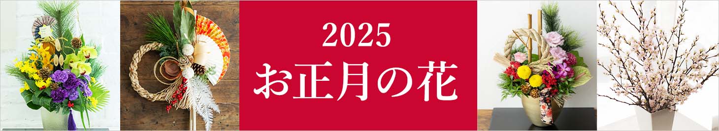 2025�N���������W