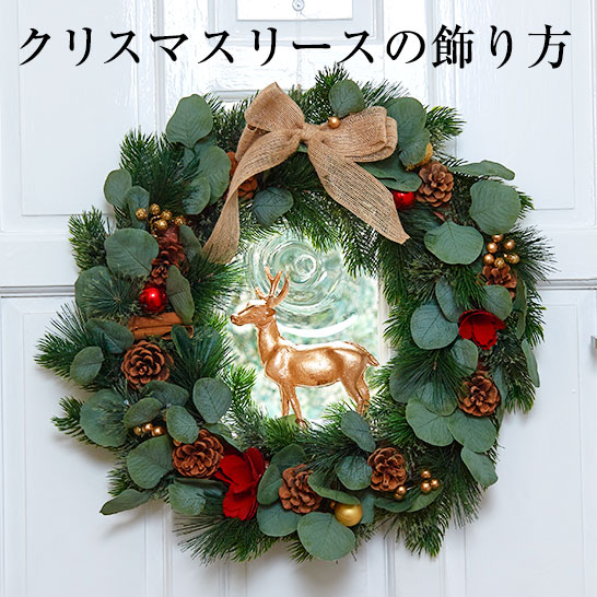 クリスマスにポインセチア鉢植えをもっと楽しみたい方へ!おすすめの飾り方・楽しみ方い
