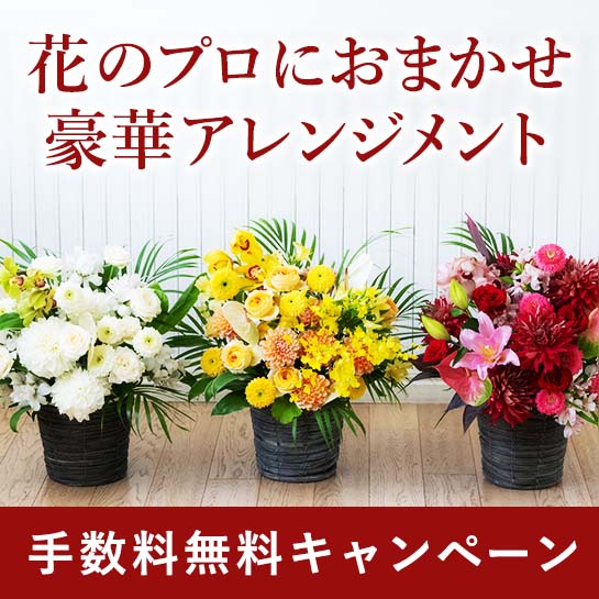���܂����Z���K�C�h�z�B�萔�������L�����y�[��