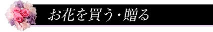 ���Ԃ��E����