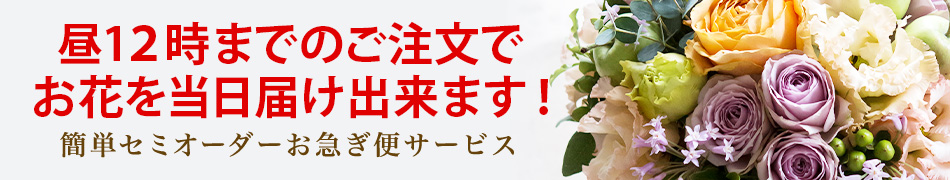 �����z�B�I���}���ցB��12���܂ł̂������œ������͂��B���p�r�ɉ����ĊȒP�Z�~�I�[�_�[